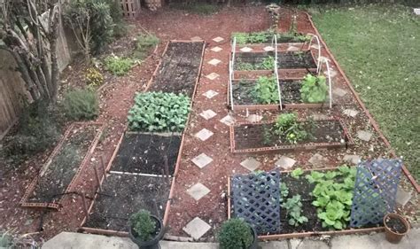 How To Grow Vegetables In The Cold Season Wellness Gardens