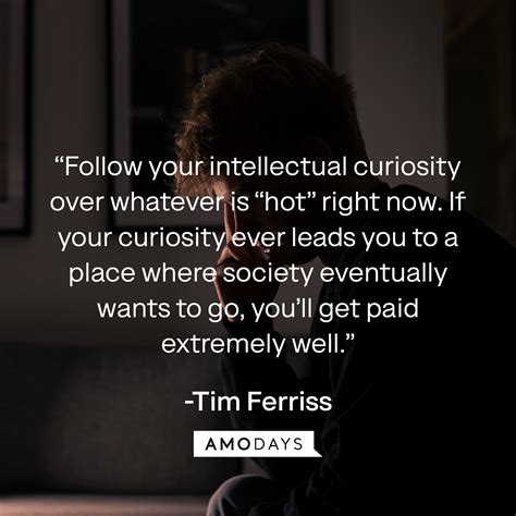 98 Curiosity Quotes For Curious Minds