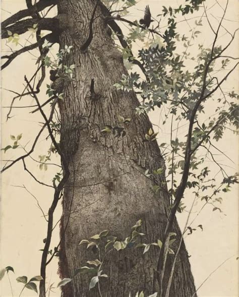 Andrew Wyeth Andrew Wyeth Andrew Wyeth Paintings Watercolor Trees