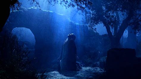 the agony of gethsemane the most amazing and terrifying scene in the bible the reformed advisor