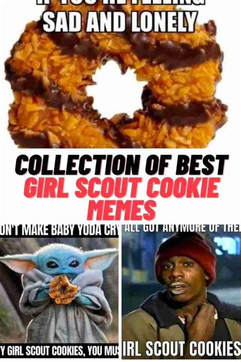 Collection Of Best Girl Scout Cookies Memes 2023 Raspberry Rally