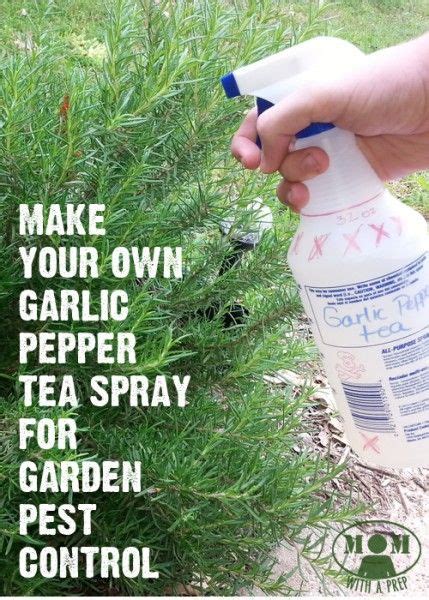 Bring the whole concoction to a boil and let sit overnight. How to Make Garlic Pepper Tea Bug Repellant for Your Garden - Mom with a PREP | Organic ...