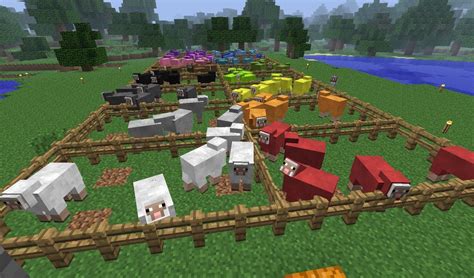 My New Rainbow Sheep Farm Minecraft