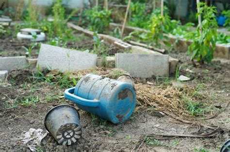Dirty Watering Bucket Abandoned On The Ground Of Vegetable Farm With
