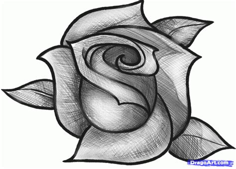 How To Sketch A Rose Step By Step Drawing Guide By Dawn Dibujos De Rosas Flores Fáciles De