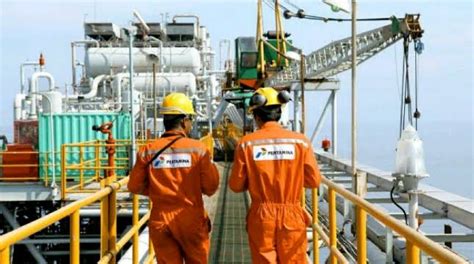 On 10 february 2021, government has announced a new ceiling price for ron95 and diesel. Harga Minyak Naik Lagi, Pertamina Fokus Jaga Stabilitas ...