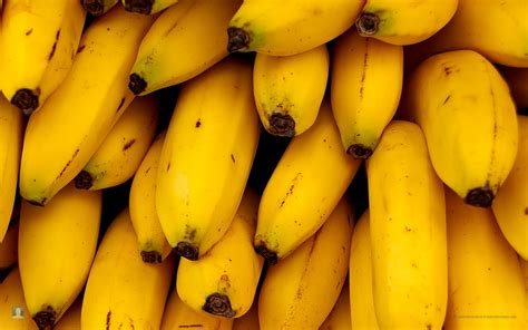 Banana High Definition Wallpapers Free Download Wallpapers Photosz