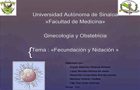 Blog De GinecologÍa Y Obstetricia Con Clinica Enero 2014
