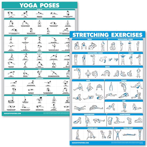 Buy Quickfit Yoga Poses And Stretching Exercise Set Laminated 2 Chart Set Yoga Positions