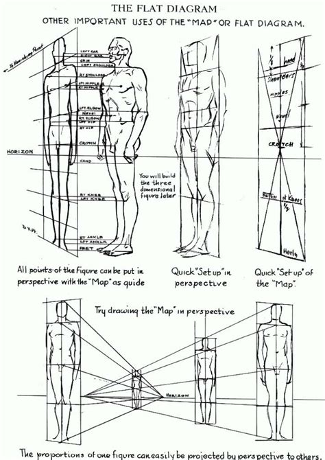 Proportions Of The Human Figure How To Draw The Human Figure In The