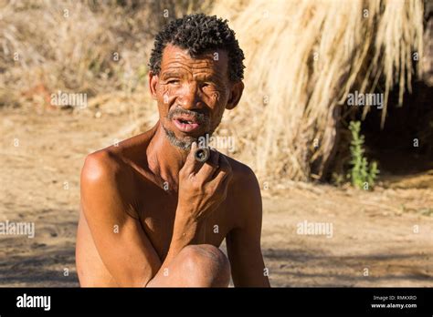 Bushmen Bush Kalahari Hi Res Stock Photography And Images Alamy