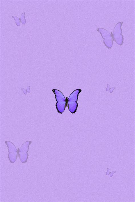 Butterfly Wallpaper 41 Butterfly Wallpaper Iphone Purple Wallpaper C8a