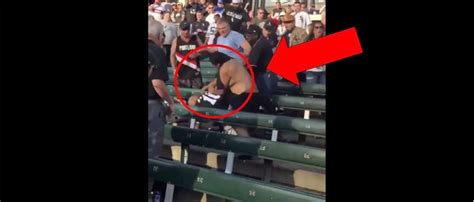insane brawl breaks out in the stands during chicago white sox game the daily caller