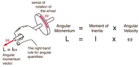 Consider a rigid body rotating around an axis. MyRank: Relation between Angular Momentum and Moment of ...