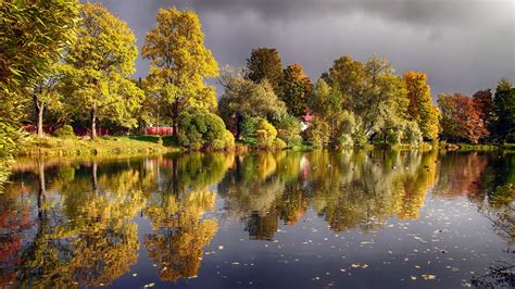 Autumn Trees Pond Lake Ducks Wallpaper Nature And Landscape