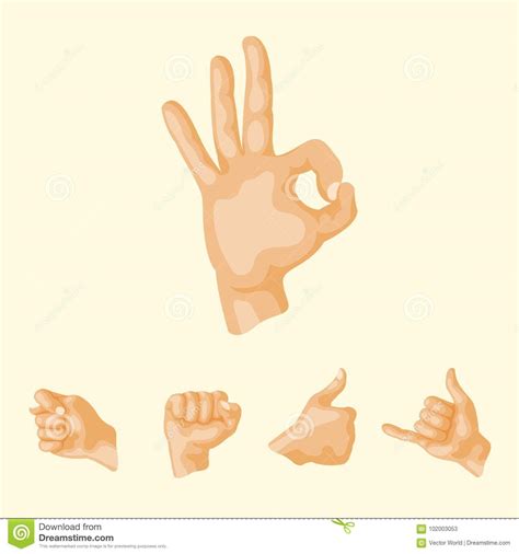 Hands Deaf Mute Different Gestures Human Arm People