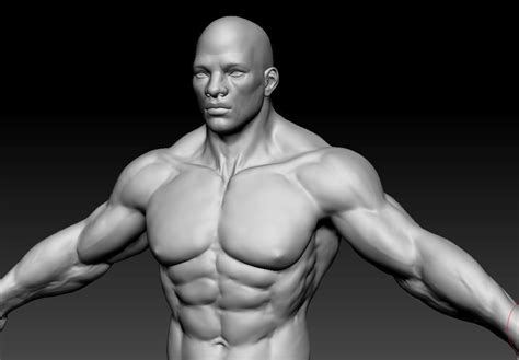 D Model Male Body Cgtrader