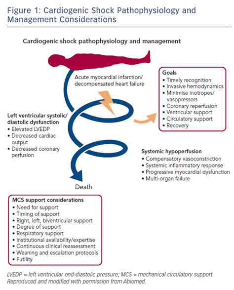 Figure 1 Cardiogenic Shock Pathophysiology And Management