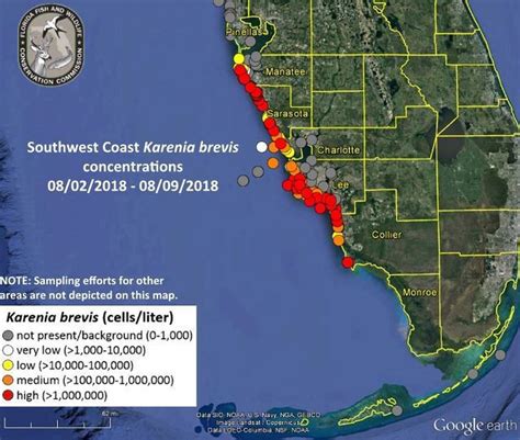Red Tide Update Florida Governor Issues Emergency Order
