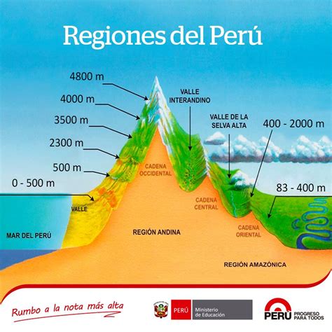 Sintético 116 Dibujo De Las Ocho Regiones Naturales Del Peru