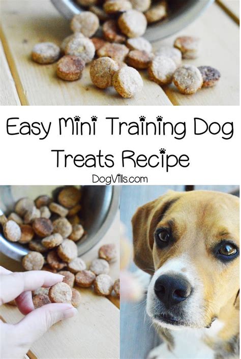 Easy Mini Training Dog Treats Recipe Dog Training Treats Recipe