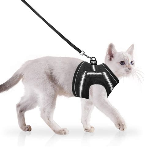Joyo Cat Harness And Leash Set Escape Proof Adjustable Small Pet Harness For Walking Soft