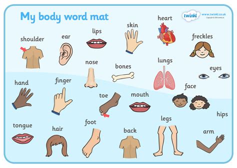 Printable Body Parts