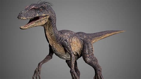 Raptor 3d Model Animated Rigged Cgtrader