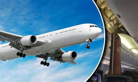 Ceiling Collapse Triggers Passenger Panic On Flight During Botched Newark Landing World News