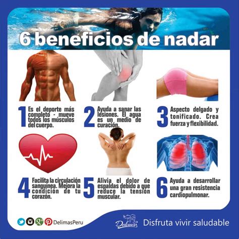 Natación Beneficios ¿por Qué Favorece Tanto A La Salud Blog