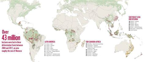 Eastern Australia Listed In Top 24 Global Deforestation Hotspots News