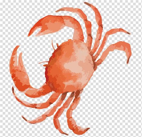 Crab Illustration Clipart 20 Free Cliparts Download Images On