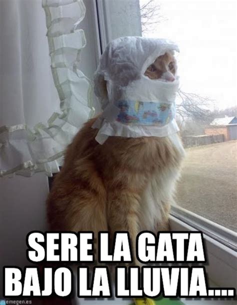 Memes De Lluvia Imagenes Chistosas