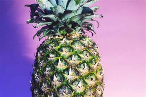 Free Images Fruit Food Produce Tropical Pineapple Flowering