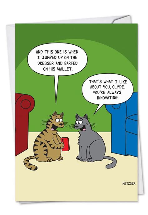 Funny Cat Cartoons With Captions Cat Mania