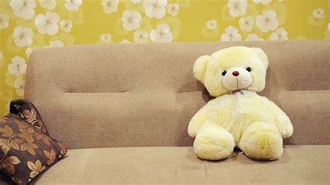 Hd Wallpaper White Bear Plush Toy On Brown Fabric Sofa Baby Toy