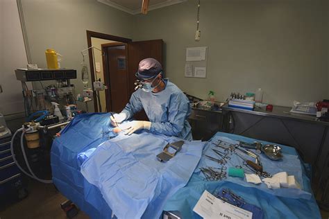 Cruciate Surgery Tplo Lateral Suture Eureka Veterinary Hospital
