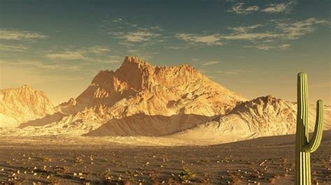 Desierto De Sonora México Desert Pictures Widescreen Wallpaper
