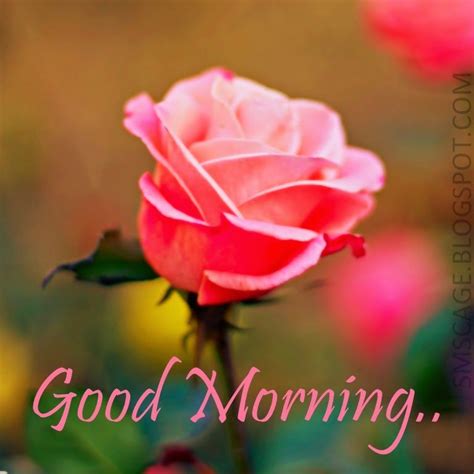 When we wake up in the morning, the day is a new day for us. Romantic Good Morning SMS In Hindi | SMS Cage