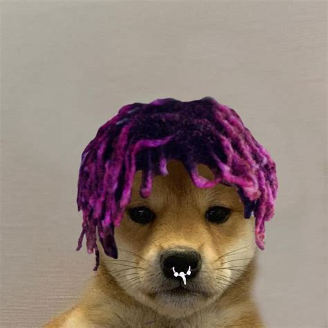 Here are 50 of the funniest dog memes we've seen yet. Pin on Lil Uzi Vert Rage Central