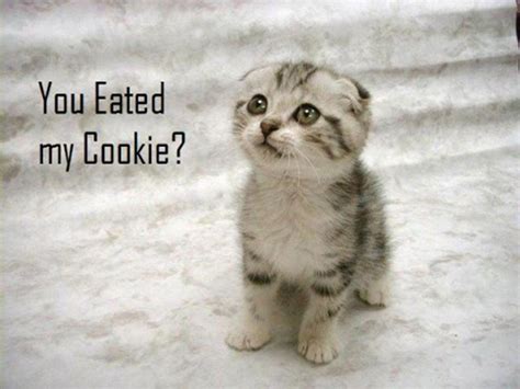 Check spelling or type a new query. Cool Backgrounds Of Animals - Wallpaper Cave