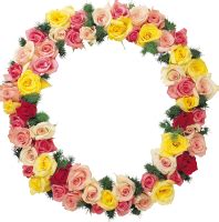Цветочная рамка PNG картинки скачать бесплатно