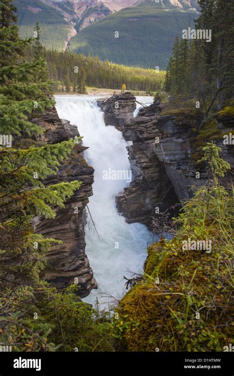 Athabasca Falls Along The Icefields Parkway In Jasper National Park In