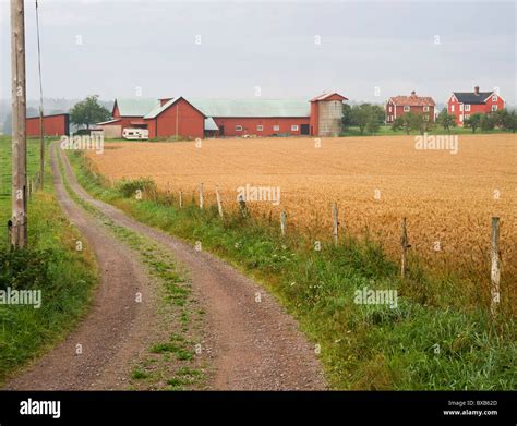 Types Of Road Hi Res Stock Photography And Images Alamy