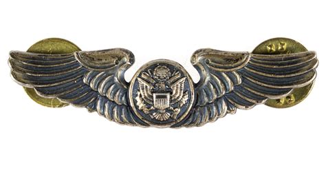 Lot Air Force Aircrew Wings In Case