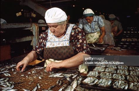 Women Work In The Local Sardine Cannery In Lubec Maine News Photo Getty Images