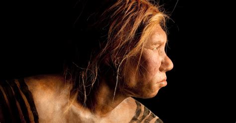 Dna Study Reveals Fresh Ties Between Humans And An Enigmatic Ancient People