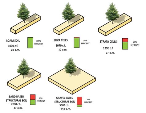 Which Planting Solution Is Best For Trees Bartlett Lab Field Trials