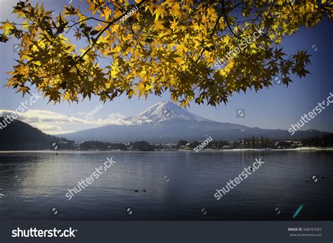 Mt Fuji Fall Colors Japan Stock Photo 548787025 Shutterstock