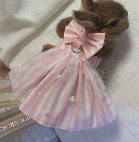 Stripe Dress For Rabbit Pet Clothes Costume Harness Etsy